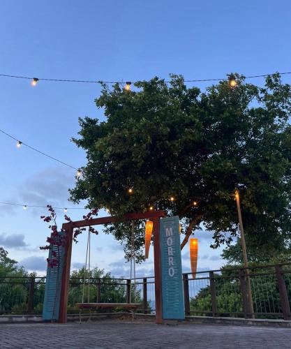 a tree with lights on it next to a fence at Casa Amerigo in Morro de São Paulo