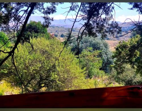 a view of a forest with trees and bushes at Alojamiento en san clemente Pampa y Rio cabaña Lihuel in Santa María