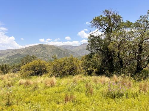 a field with trees and mountains in the background at Alojamiento en san clemente Pampa y Rio cabaña Lihuel in Santa María