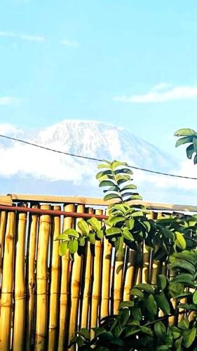 a wooden fence with a mountain in the background at Safi House in Boma la Ngombe