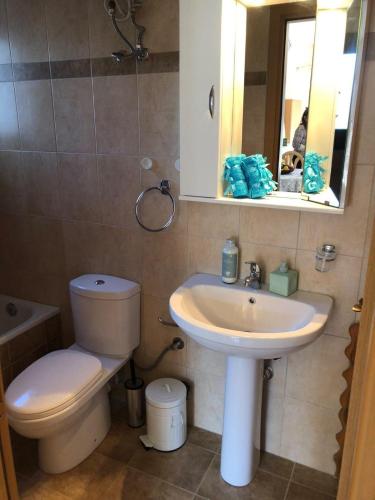 a bathroom with a toilet and a sink and a mirror at Olympia's Seaside Lefokastro in Lefokastro
