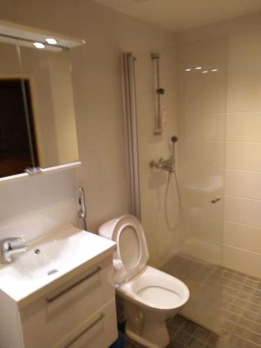 a bathroom with a toilet and a shower and a sink at Kaksio Kivitipun lähellä in Lappajärvi