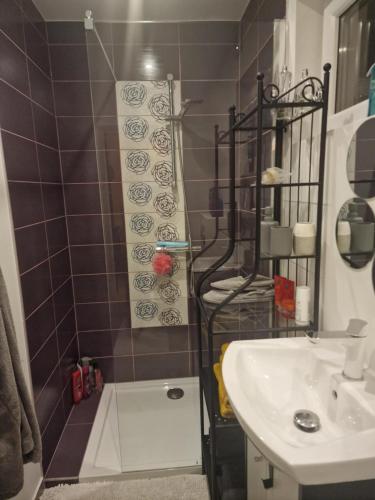 a small bathroom with a shower and a sink at ULALA CHARLEROI AIRPORT Bruxelles in Pont-à-Celles