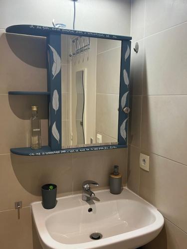une salle de bain avec un lavabo et un miroir dans l'établissement New ! Charmant spacieux 2p Vieux-Nice calme, à Nice