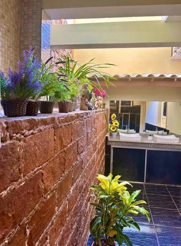 a group of potted plants on a brick wall at Pousada Violeiro in Lençóis