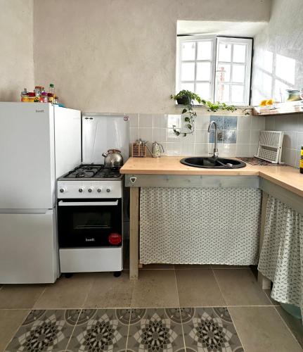 a kitchen with a stove and a refrigerator and a sink at Casa Trilho the Gaios in Tábua