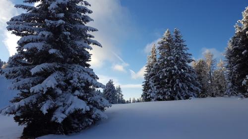 Chalet Elsa Murau Austria v zimě