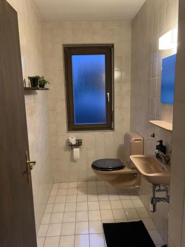 a bathroom with a toilet and a sink and a window at Full Sun Lodge in Vétroz