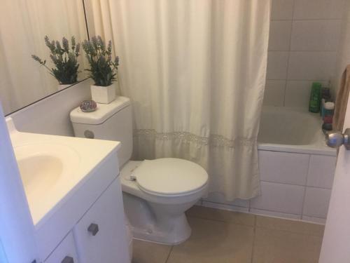 une salle de bain avec toilettes et rideau de douche dans l'établissement Departamento La Serena 4 personas, à La Serena