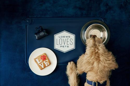 a dog is looking into a bowl of food at Loews Philadelphia Hotel in Philadelphia