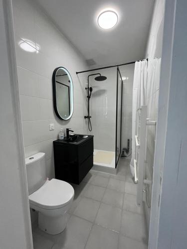 une salle de bain avec toilettes, lavabo et douche dans l'établissement T2 lumineux avec Terrasse proche du Tram, à Le Crès