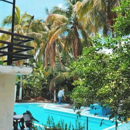 a man standing next to a swimming pool with palm trees at Beautiful duplex in Honda