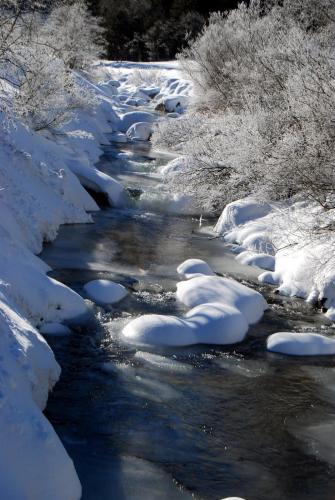 a stream covered in snow with snow covered trees at Appartement Edelweiss mit Infrarotkabine in Großsölk