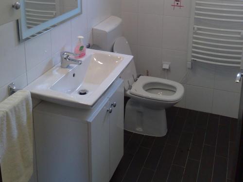 Apartment Nikola M