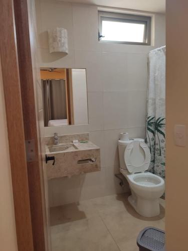 a bathroom with a toilet and a sink and a mirror at Hotel tortuga real Huatulco in Santa Cruz Huatulco