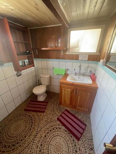 a bathroom with a sink and a toilet at Cabaña el Diuco in Coñaripe