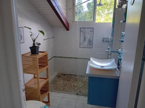 a small bathroom with a sink and a shower at Haut de Villa LA FLEUR DE CANNE in Lamentin