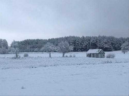 an old barn in a field covered in snow at Domek Walentinki in Rogacze
