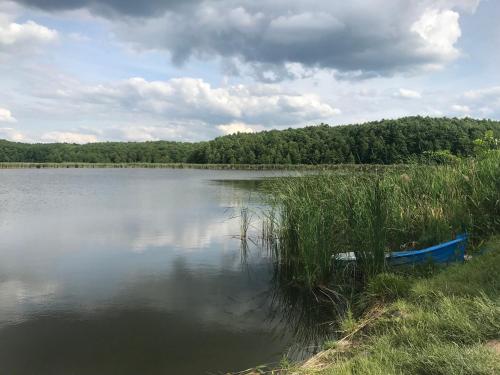 a blue boat sitting on the shore of a lake at Domek Walentinki in Rogacze