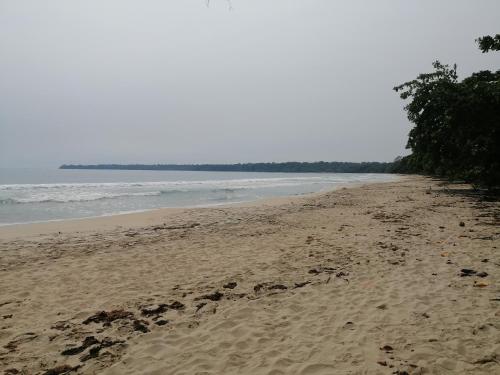 Gallery image of RoomsMagisPalmera in Cahuita