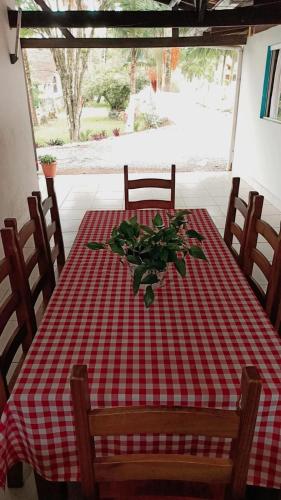 a red and white checkered table with a plant on it at Palmenhaus in Pomerode