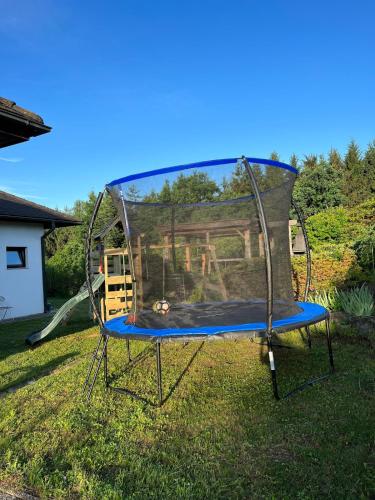 a trampoline in the grass in a yard at NEUES appartment LOVE&LIGHT in Ollersdorf im Burgenland