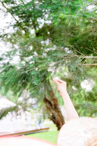 a person is reaching up to touch a tree at 99Glamping in Douliu