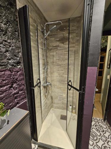 a shower with a glass door in a bathroom at Bruxelles centre petite chambre privée au Sablon ! in Brussels