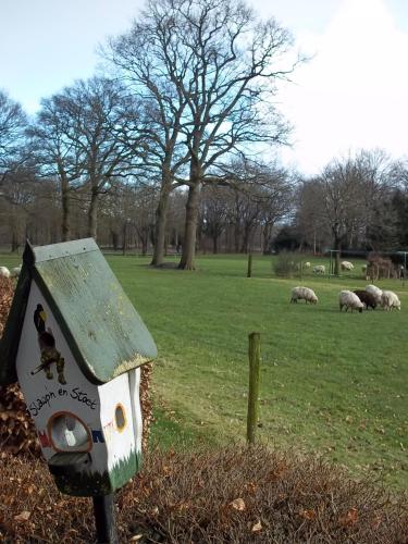 a bird house in a field with sheep in the grass at B&B Slaoperij in Orvelte