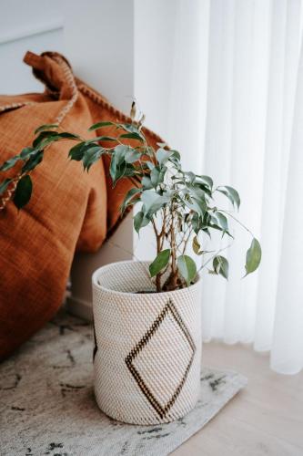 a potted plant sitting on a rug next to a pillow at Forest Edge, The Catlins in Papatowai