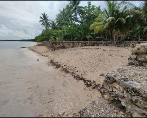 a sandy beach with a stone wall and palm trees at Palaboy Skatecamp - Resto and Beach Resort in Daanbantayan