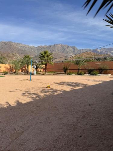a shadow of a palm tree on a dirt road at شاليه وفيلا اطلالة الكر in Makkah