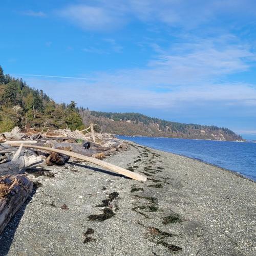 a pile of wood on a beach next to the water at Water Mtn Views, Forest Walk To Beach! in Clinton
