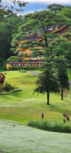 a house on a hill with a tree in a field at Luxury Residence #3 - Second Floor in Baguio