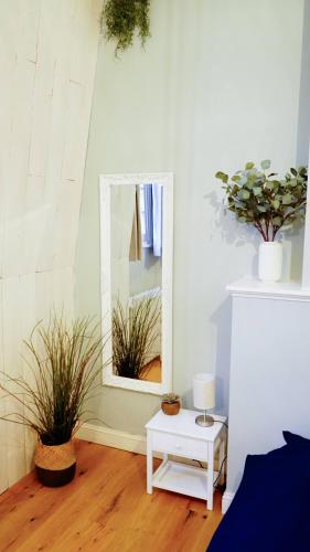 a room with two potted plants and a mirror at Maison d'hôtes de Xavier in Brussels