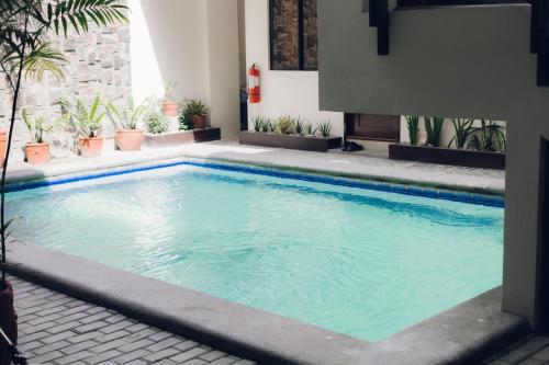 a swimming pool in a yard with plants at Elyseah Condotel, Angeles Pampanga in Angeles