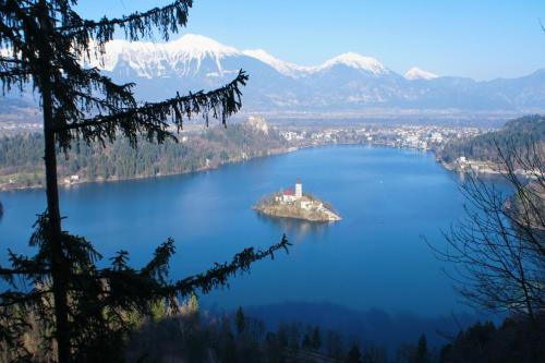 an island in the middle of a lake with a mountain at Penzion Zaka in Bled