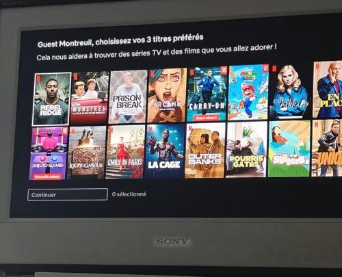 une télévision avec un bouquet de films dans l'établissement à 30 minutes de tour Eiffel, à Montreuil