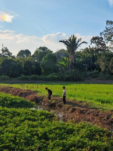two people walking on a dirt road in a field at Homestay Villa D'Manggis in Alor Setar