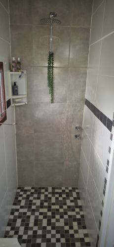 a shower with a green plant in a bathroom at At lilac, Jeffreys Bay, cottage for 2 in Jeffreys Bay