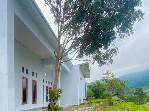 a white building with a tree in front of it at Dieng Ananda Mountain View Syariah RedPartner in Kejajar