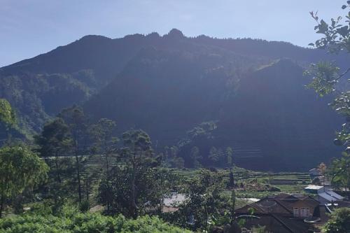 a view of a mountain range with a valley at Dieng Ananda Mountain View Syariah RedPartner in Kejajar