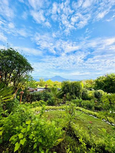 a garden with plants and trees and a cloudy sky at Penida Bambu Green Suites in Nusa Penida