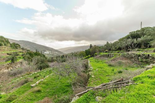 a view of a grassy field with mountains in the background at Moraki Apartment 2 Andros in Korthi