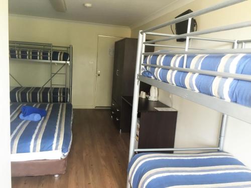 two bunk beds in a room with wooden floors at Siesta Villa in Jindabyne