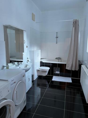 a bathroom with a washer and a sink and a toilet at Villa Wellspacher Luxury Apartments Semmering in Semmering