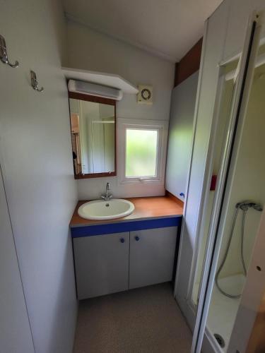 une salle de bain avec un lavabo et un miroir dans l'établissement L évasion, à Saint-Thomas-en-Royans