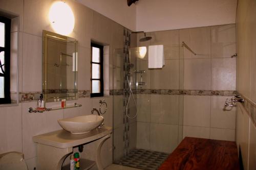 a bathroom with a sink and a shower at Palm Afrique Lodge in Ghanzi
