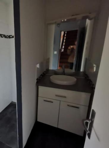 une salle de bain avec un lavabo et un miroir dans l'établissement Sur les hauteurs de Labroquère, à Labroquère