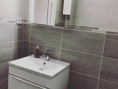 une salle de bain avec un lavabo et un miroir dans l'établissement Studio Auron, à Saint-Étienne-de-Tinée